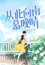 《从此向南慕晚晴》小说封面