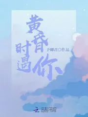 《黄昏时遇你》小说封面