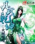 《丹武干坤》小说封面