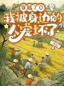 《穿越70,我被身边的人宠坏了》小说封面