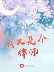 《我又是个律师》小说封面