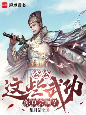 《公公,这些武功你真会啊?》小说封面