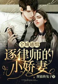 《全城通缉:逐律师的小娇妻》小说封面