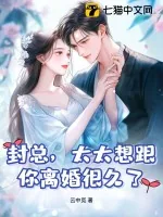 《封总,太太想跟你离婚很久了》小说封面