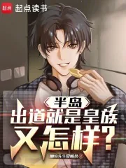 《半岛：出道就是皇族又怎样？》小说封面