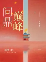 《问鼎巅峰》小说封面