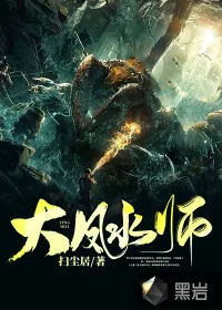 《大风水师》小说封面