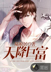《天降巨富》小说封面