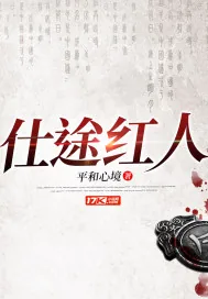 《仕途红人》小说封面