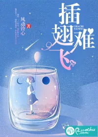 《插翅难飞》小说封面