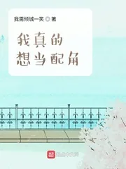 《我真的想当配角》小说封面