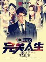 《九零之完美人生》小说封面
