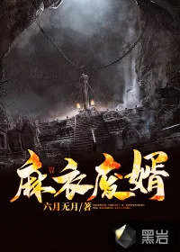 《麻衣废婿》小说封面