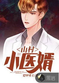 《山村小医婿》小说封面