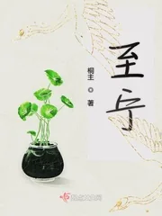 《至宁》小说封面