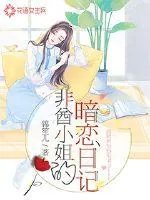 《非酋小姐的暗恋日记》小说封面