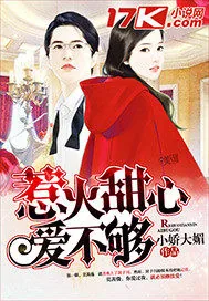 《甜心小妻爱不够》小说封面