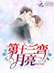 《第十三弯月亮》小说封面