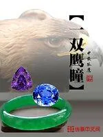 《一双鹰瞳》小说封面