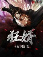 《狂婿》小说封面