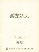 《游龙娇凤》小说封面
