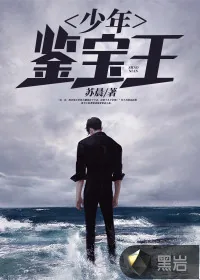 《少年鉴宝王》小说封面
