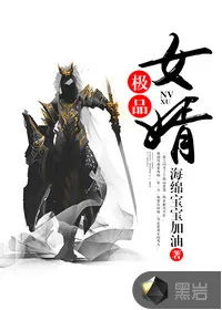 《极品女婿》小说封面