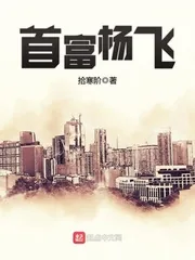 《首富杨飞》小说封面