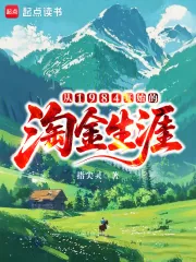 《从1984开始的淘金生涯》小说封面