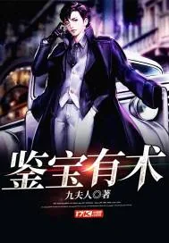 《鉴宝有术》小说封面
