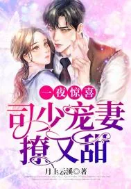 《一夜惊喜：司少宠妻撩又甜》小说封面