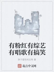 《恋战新梦》小说封面