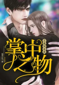 《掌中之物：总裁别逼我》小说封面