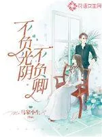 《不负光阴不负卿》小说封面