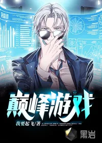 《巅峰游戏》小说封面