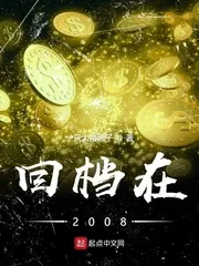《回档在2008》小说封面