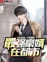 《最强豪婿在都市》小说封面