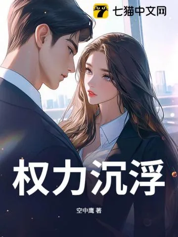 《权力沉浮》小说封面