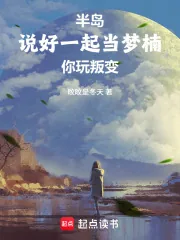 《半岛:说好一起当梦楠,你玩叛变》小说封面