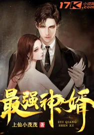 《最强神婿》小说封面