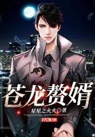 《苍龙赘婿》封面