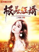 《极品狂婿》封面