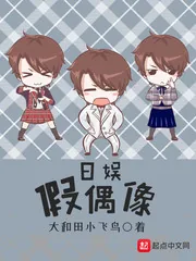 《日娱假偶像》封面