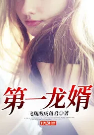 《第一龙婿》封面