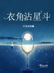 《衣角沾星斗》封面