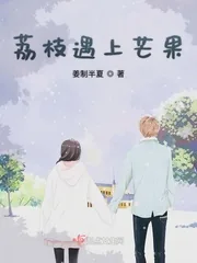 《荔枝遇上芒果》小说封面