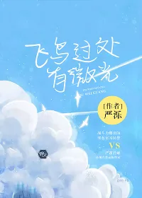 《飞鸟过处有微光》封面
