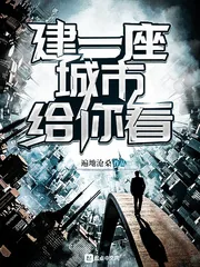 《建一座城市给你看》封面