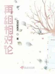 《再组相对论》封面