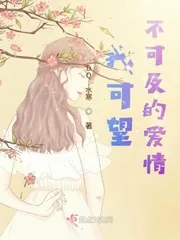 《我可望不可及的爱情》封面